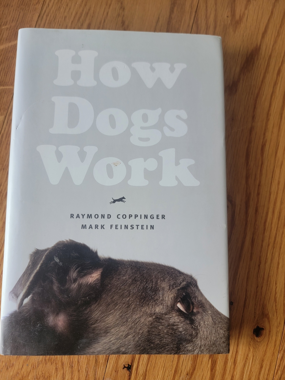 How Dogs Work - Gray Hardcover Book by Raymond Coppinger
